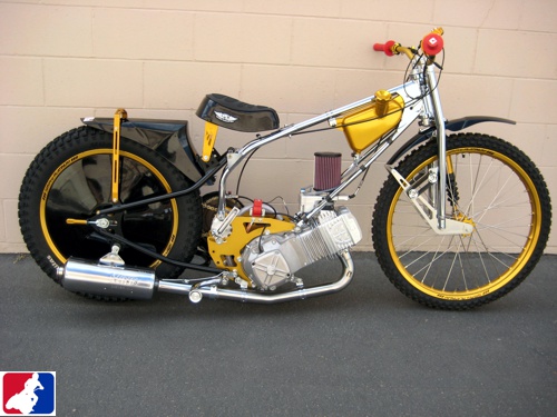 JAWA Model 889